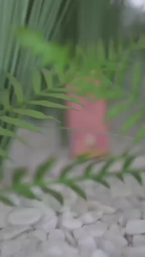 Lataa video: 